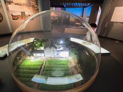-同里国家湿地公园