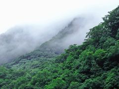 -牛背梁国家森林公园