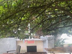 -金海湾自助餐厅(金陵饭店)