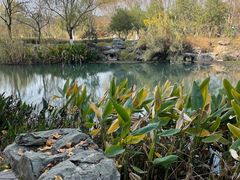 -幕燕滨江·长江观音景区