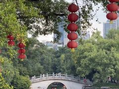 -荔湾湖公园