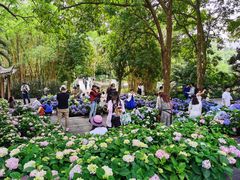 -广西壮族自治区药用植物园