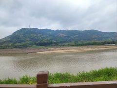 -风云岭森林公园