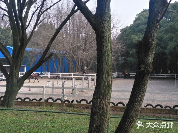上海共青森林公园游乐设施图片