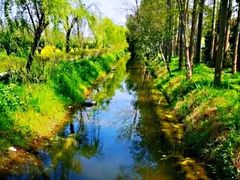 -前小桔亲子创意农场·草莓采摘·露营烧烤