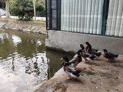 -新合益乡村农庄