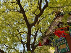 -青岩寺风景区