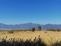 -野鸭湖国家湿地公园