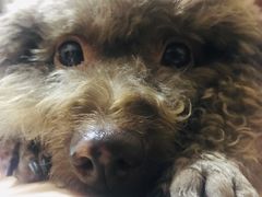 -宠颐生动物医院·全科·骨外科中心·利宠康分院