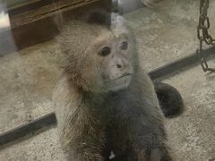 -黔灵山公园