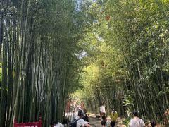 -竹泉村旅游度假区
