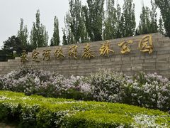 -永定河休闲森林公园