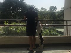 -观澜湖旅游度假区
