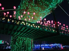 -长春公园(普阳街道)