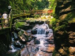 -牛背梁国家森林公园