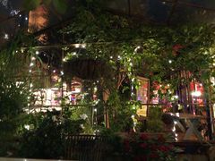 -The Grounds of Alexandria