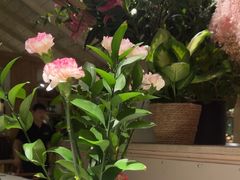 -春暖花开(西溪店)