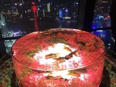 -上海环球金融中心云端足球盛典