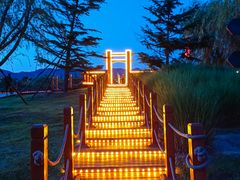 -羊亭河湿地公园