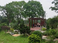 -东莞植物园