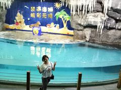 海狮-郑州海洋馆