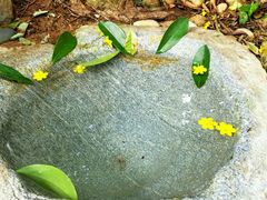 -湖泉半山温泉