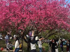 -苏州上方山国家森林公园