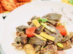 -有腥气私房菜·寻味顺德