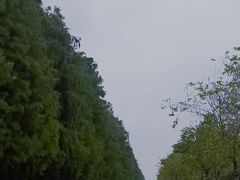 -万顷园艺世界