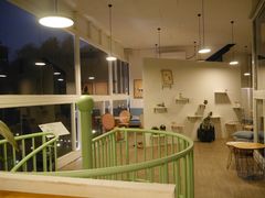-有猫主题·治愈系猫咖(曾厝垵店)