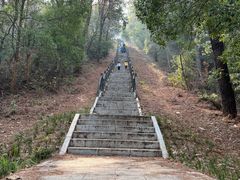 -青龙山国家森林公园