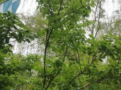 -郑州方特梦幻王国