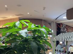 -云海肴·汽锅鸡·云南菜(广安门天虹店)