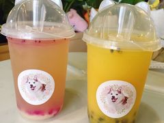 -Husky Go! 哈士奇体验馆·宠物咖啡厅狗咖