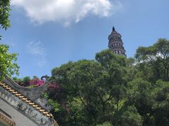 -顺峰山公园
