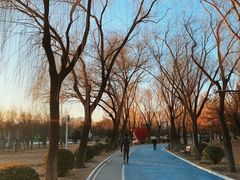 -太阳宫公园