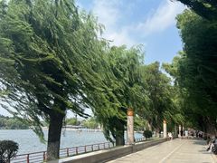 -长春市南湖公园