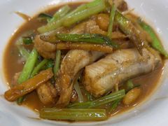 红焖九肚鱼-东江海鲜大排档·潮汕菜·砂锅粥