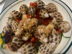 麻椒花螺-火璽·園