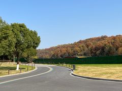 -羊山湖公园