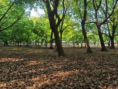 -嘉北郊野公园