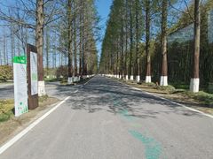 -黄海国家森林公园