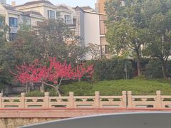 -扬州古运河