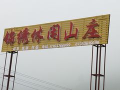 -紫鹊界梯田景区