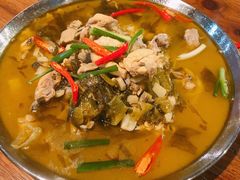新派老坛酸菜鸡-靓蛙馆
