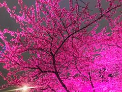 -西北湖绿化广场