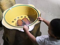 -上海昆虫博物馆