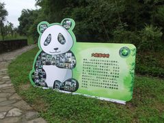 -都江堰中华大熊猫苑