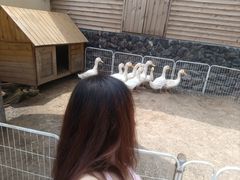 -HERRE·FARM 赫尔露营农场·团建聚会包场