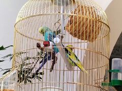 -百花深处胡同